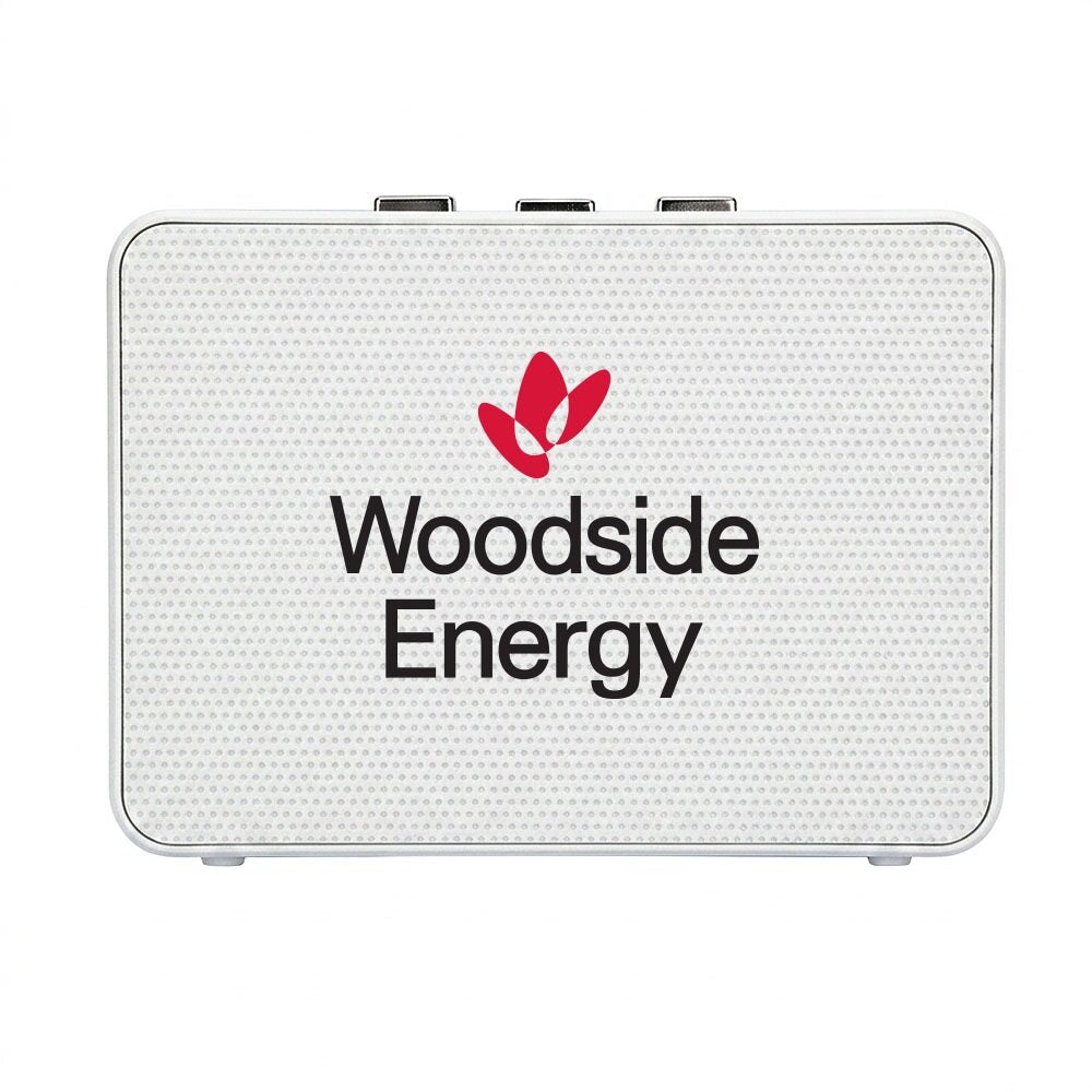 Boxanne Recycled Wireless Speaker